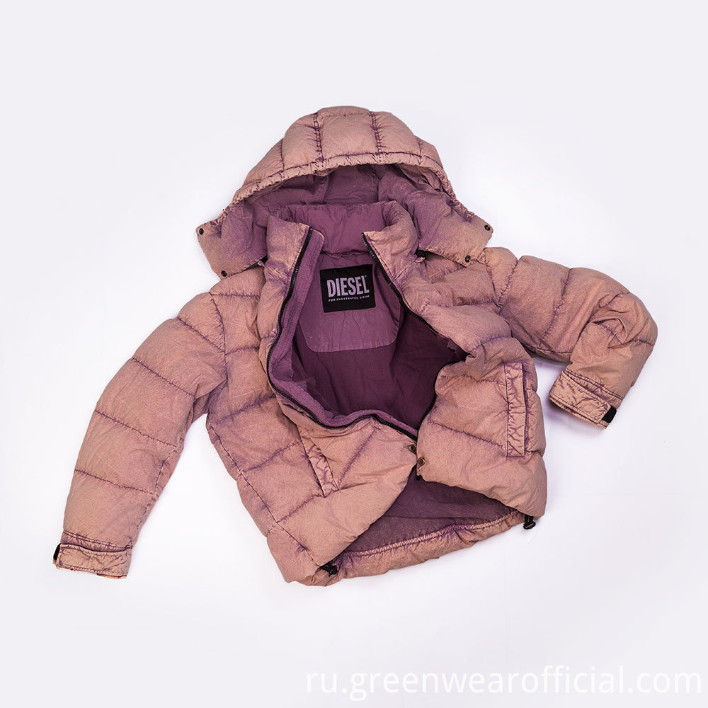 Пуховик с капюшоном Down Jacket with Hood